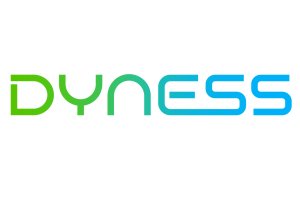 Dyness