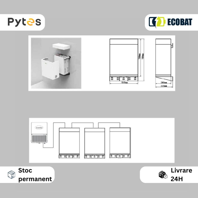 R-Box Suport Pytes